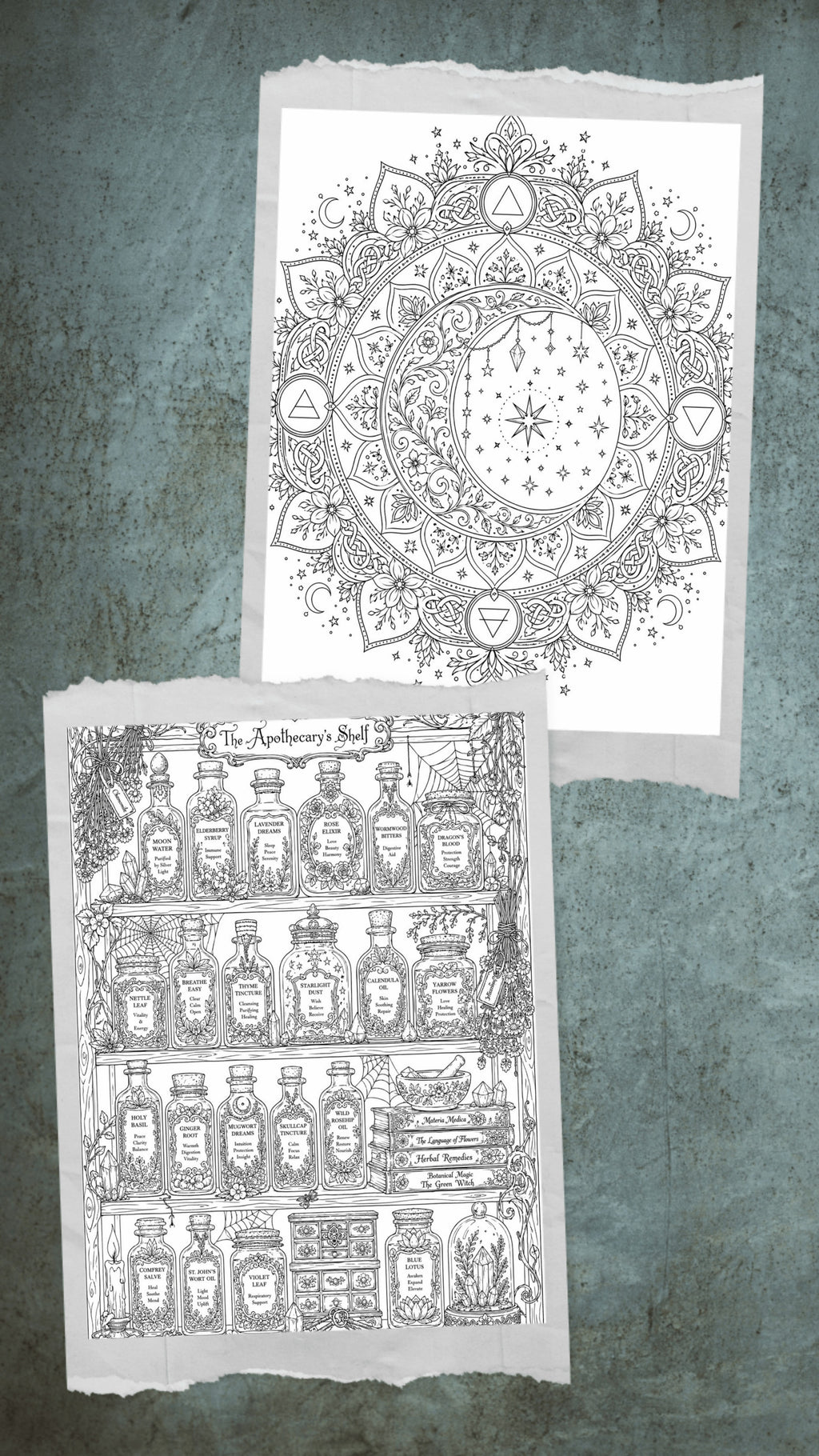 The Enchanted Path: Wiccan Tarot Coloring Book – Intricate Adult Journey